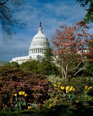 U.S. Capitol, Washington, D.C. Number 3