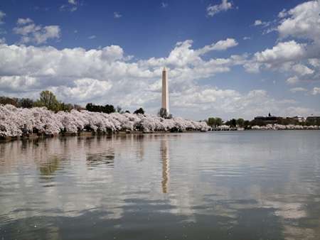 Washington Monument, Washington, D.C.