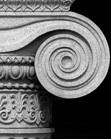 Column detail, U.S. Treasury Building, Washington, D.C. - Black and White Variant