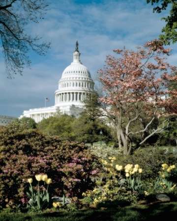 U.S. Capitol, Washington, D.C. Number 3 - Vintage Style Photo Tint Variant