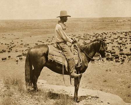 A Texas cowboy, 1907 - Sepia