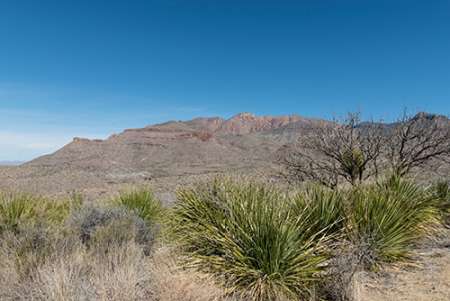 Scenery in Big Bend National Park, TX