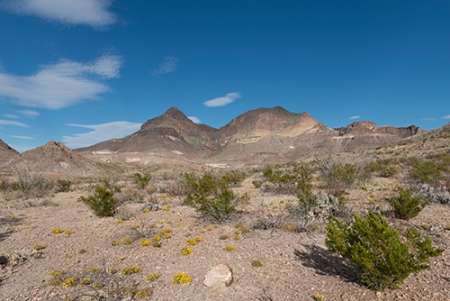 Scenery in Big Bend National Park, TX
