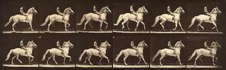 Motion Study: Man Riding A Horse