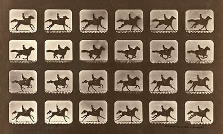 Motion Study: Man Riding A Galloping Horse