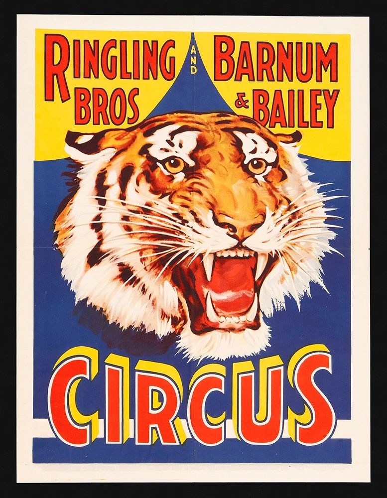 Circus