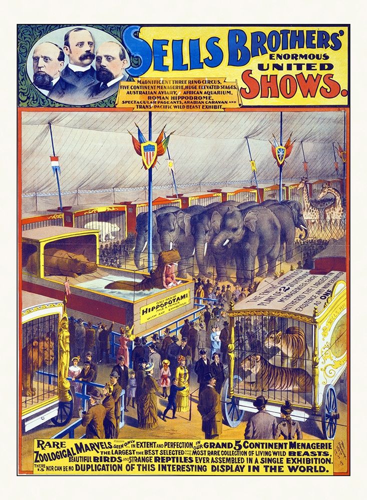 Sells Brothers Enormous United Shows--Rare Zoological Marvels - 1895