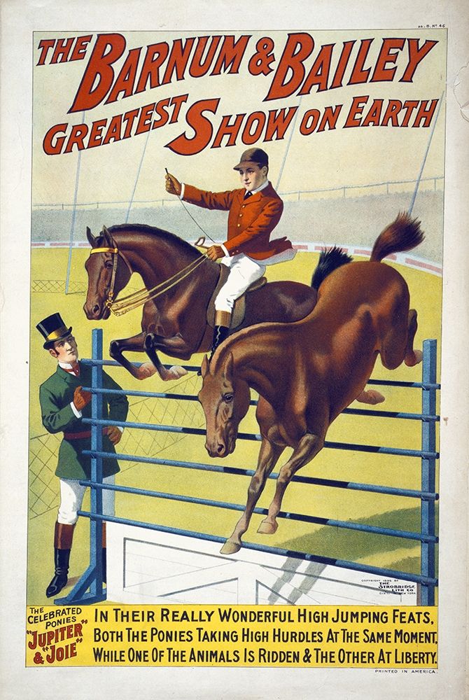 The Barnum and Bailey Greatest Show On Earth--The Celebrated Ponies Jupite and Joie