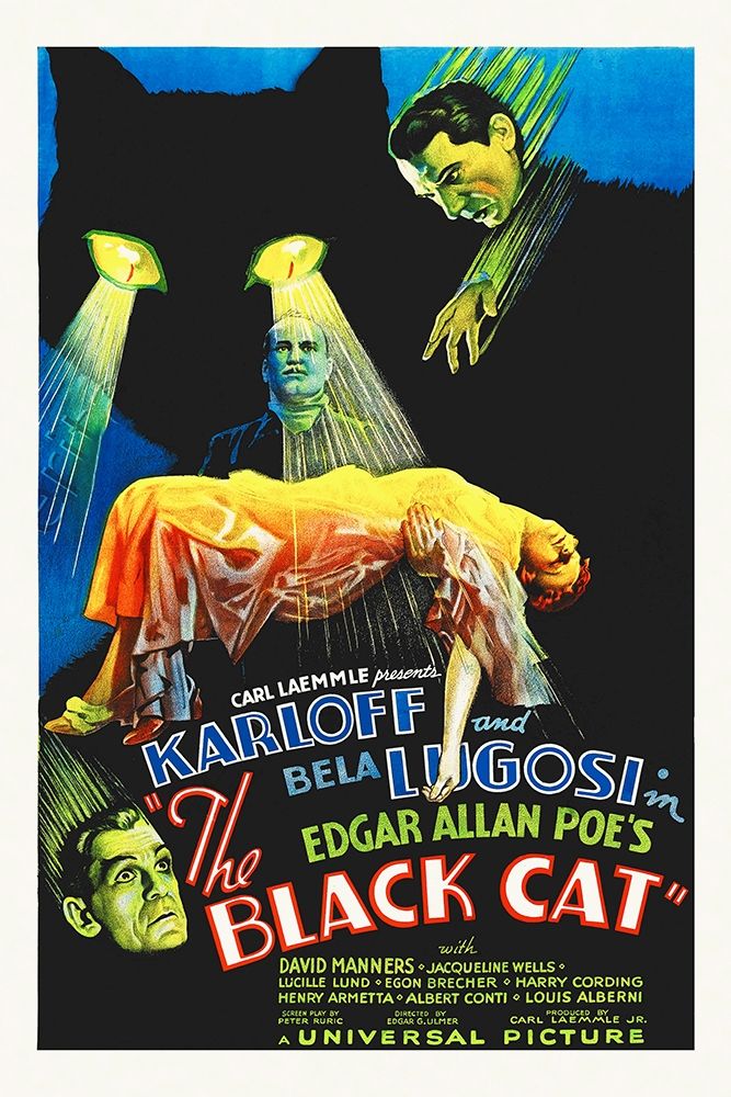 The Black Cat