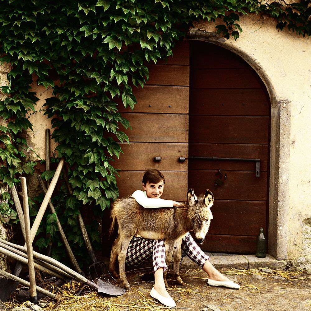 Audrey Hepburn