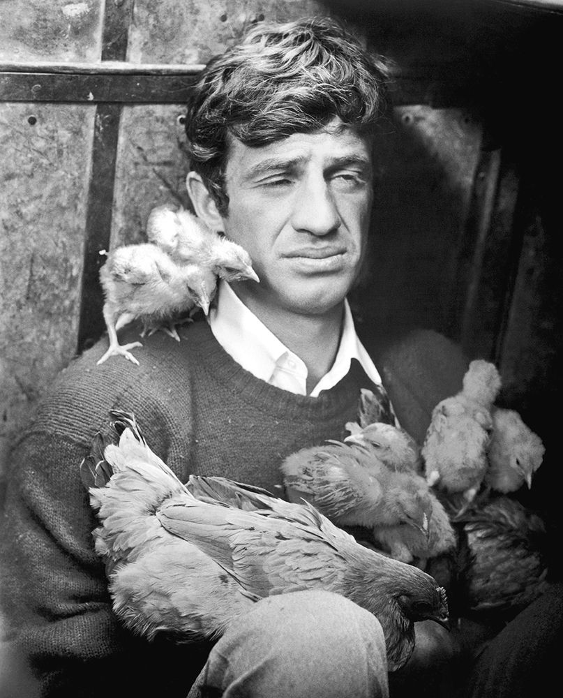 Jean Paul Belmondo