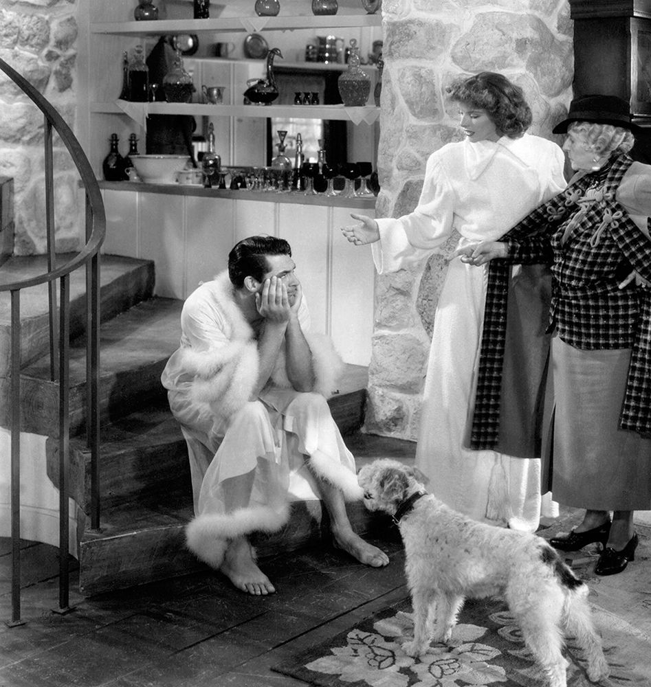 Cary Grant - Bringing Up Baby