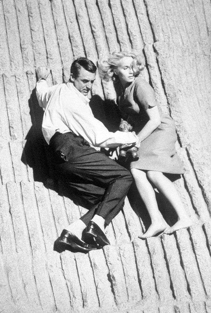 Cary Grant - North By Northwest