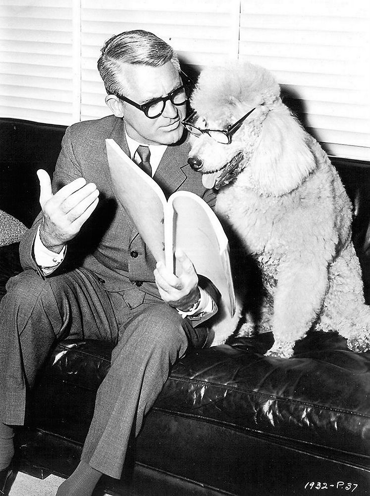 Cary Grant
