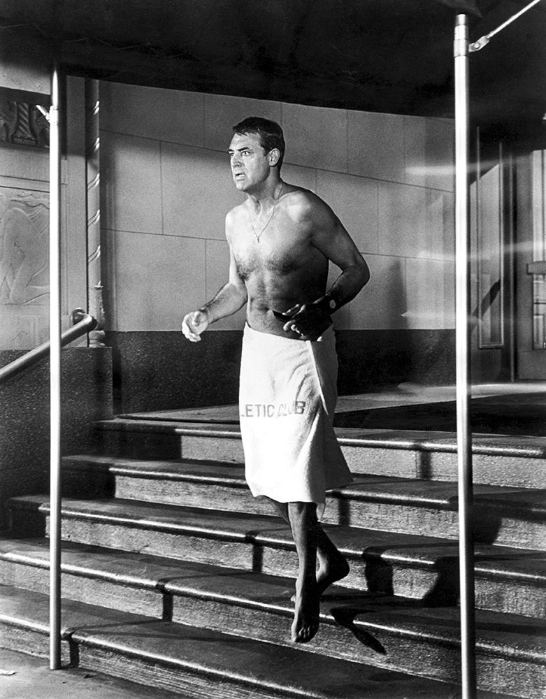 Cary Grant - That Touch of Mink