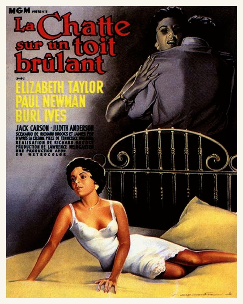 French - Cat on a Hot Tin Roof