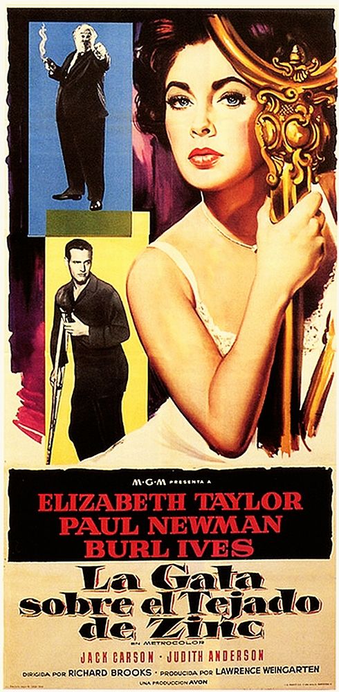 Spanish - Cat on a Hot Tin Roof