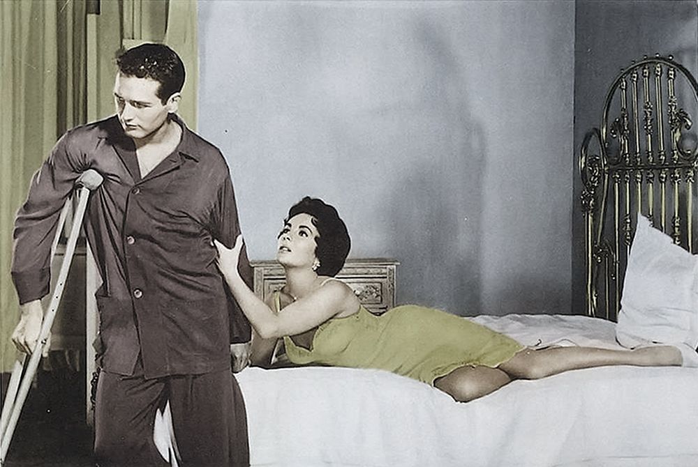Cat on a Hot Tin Roof