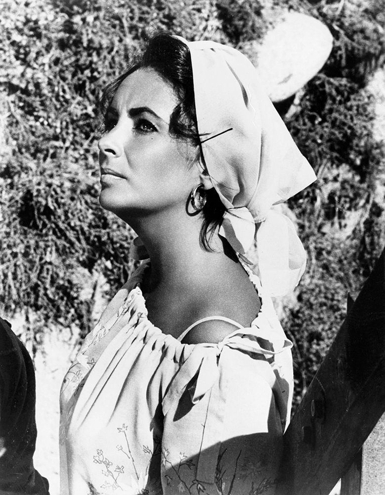 Elizabeth Taylor - The Sandpiper