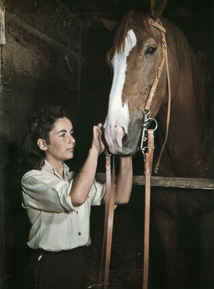 National Velvet - Elizabeth Taylor