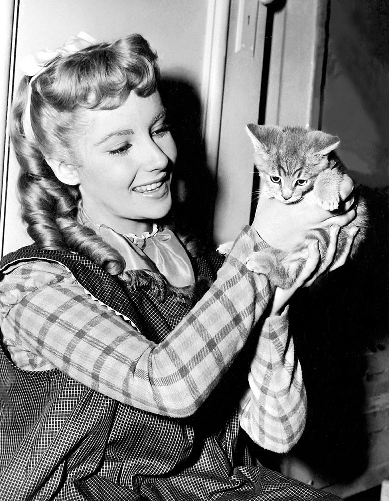 Elizabeth Taylor with kitten