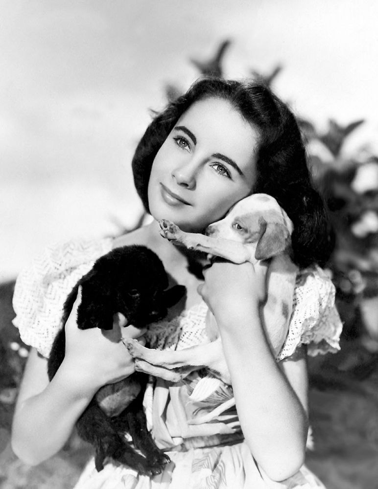 Elizabeth Taylor with puppies