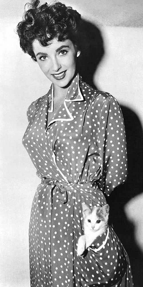 Elizabeth Taylor with a kitten in her pocket