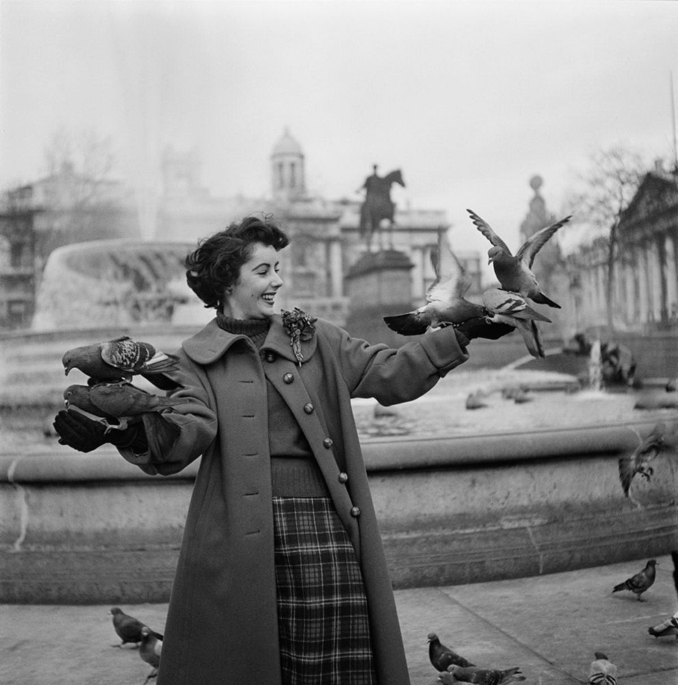 Elizabeth Taylor with pigeons