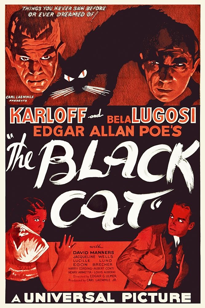 The Black Cat