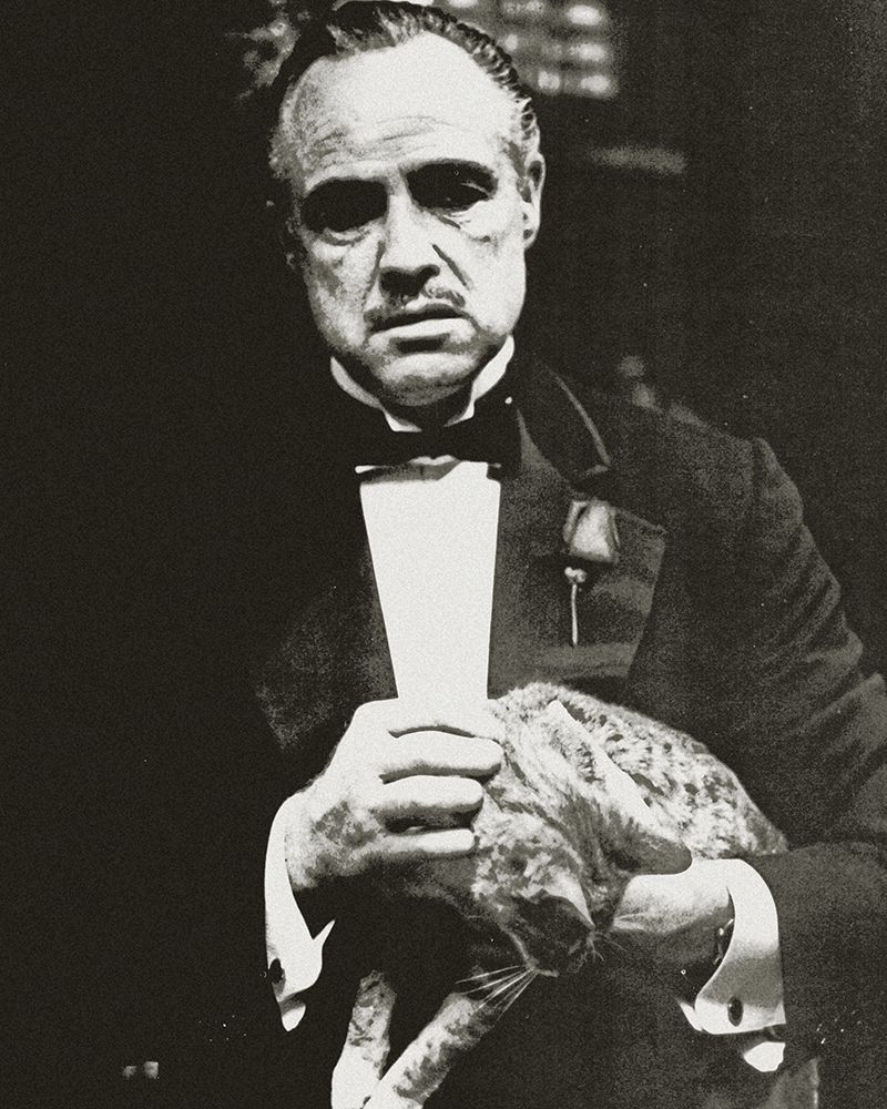 Marlon Brando - The Godfather