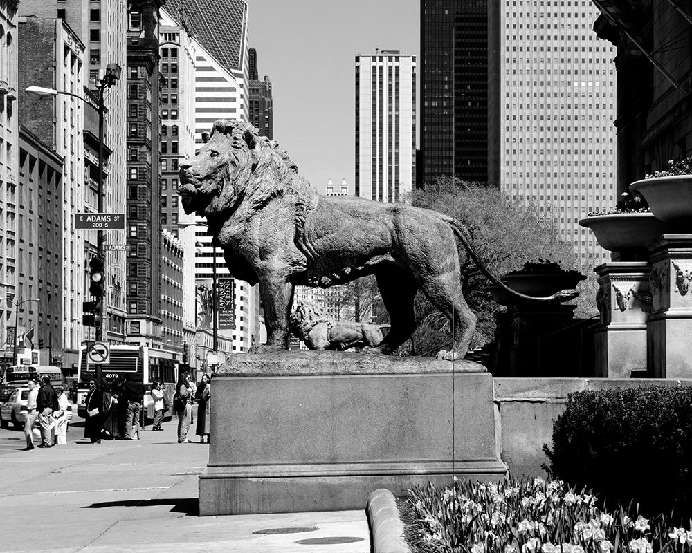 Edward Kemeys guardian lions stand before the Art Institute of Chicago Illinois