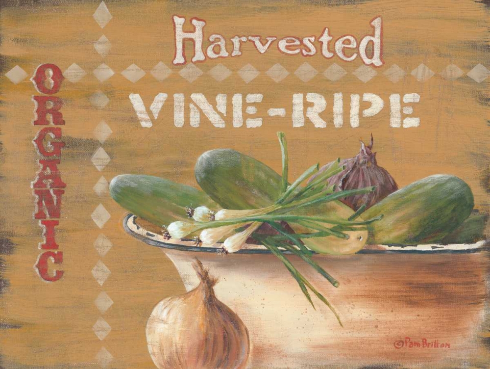 Vine Ripe