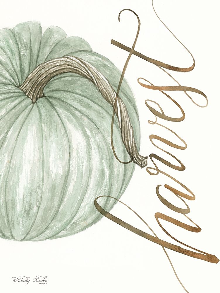 Harvest Pumpkin