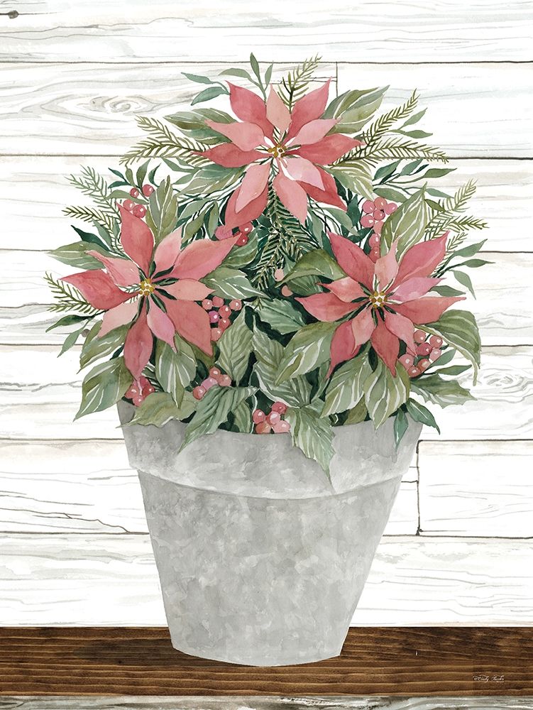 Pot of Poinsettias