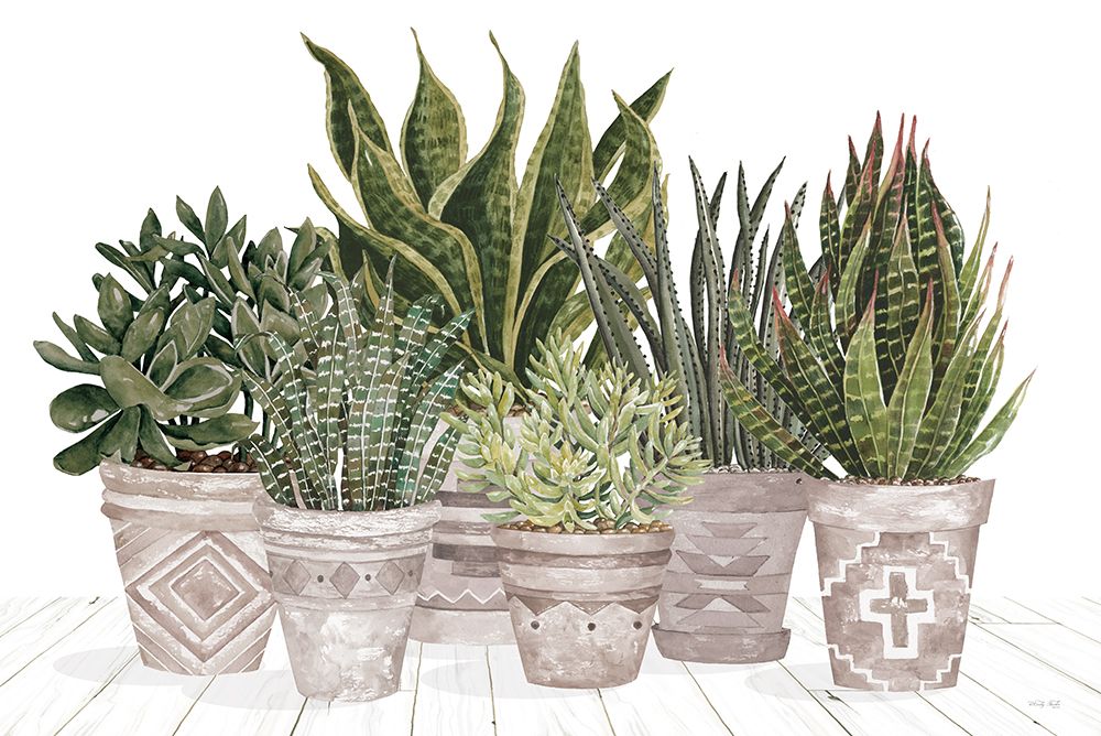 Aztec Succulent Set