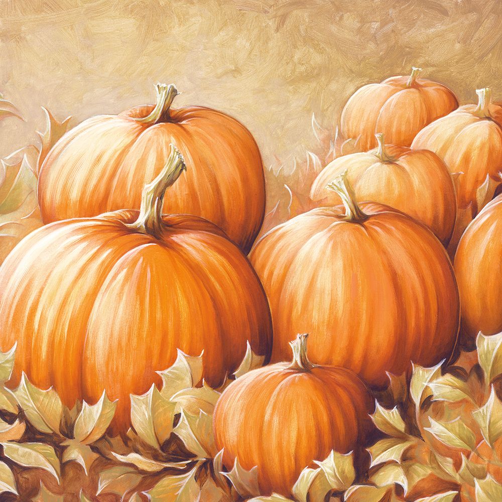 Pumpkin Patch