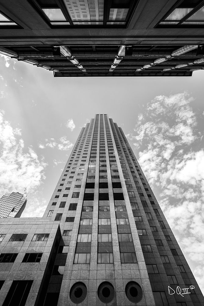 Looking Up