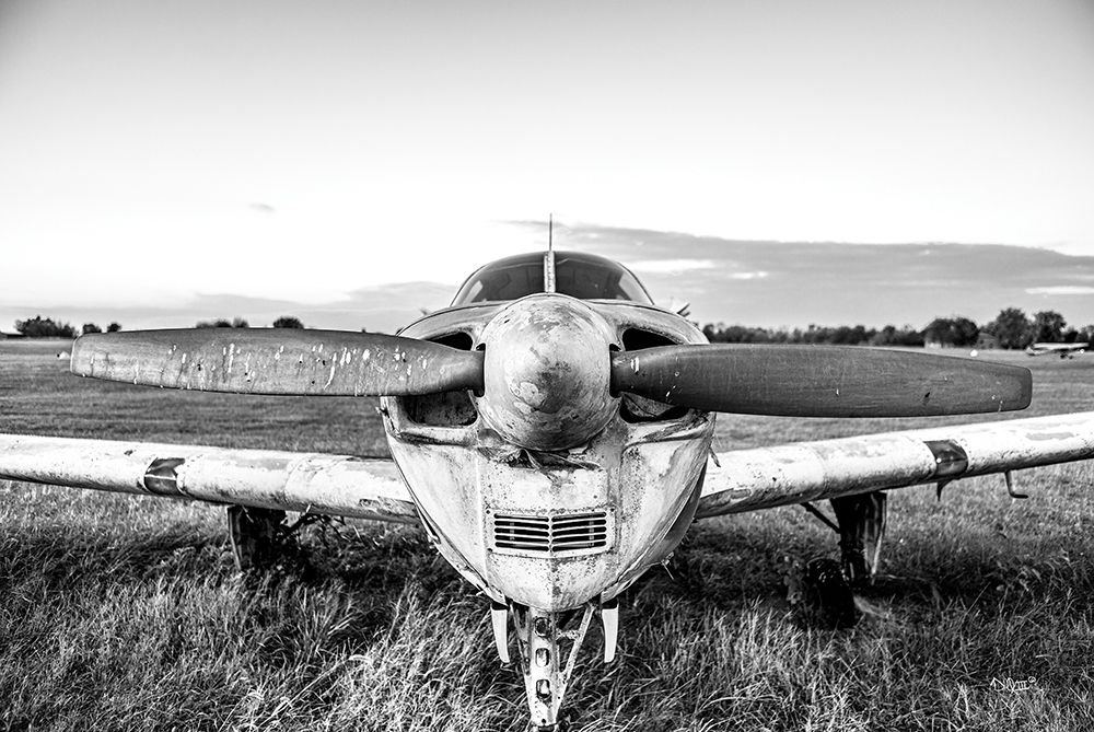 Last Flight II