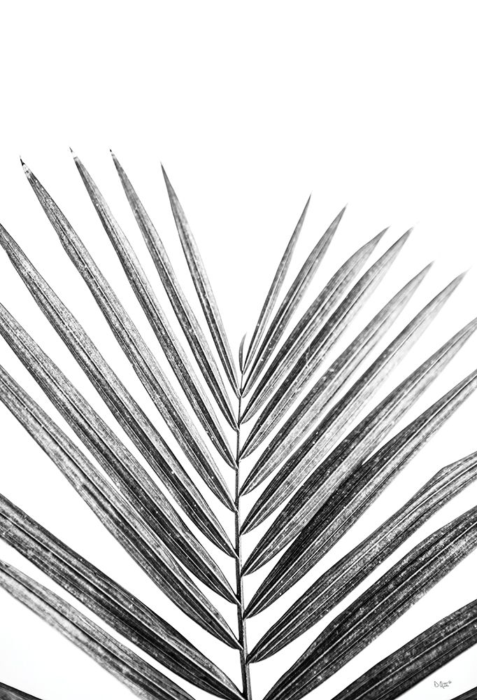Leaf Study V