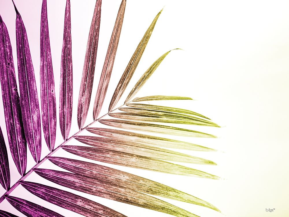 Rainbow Leaf