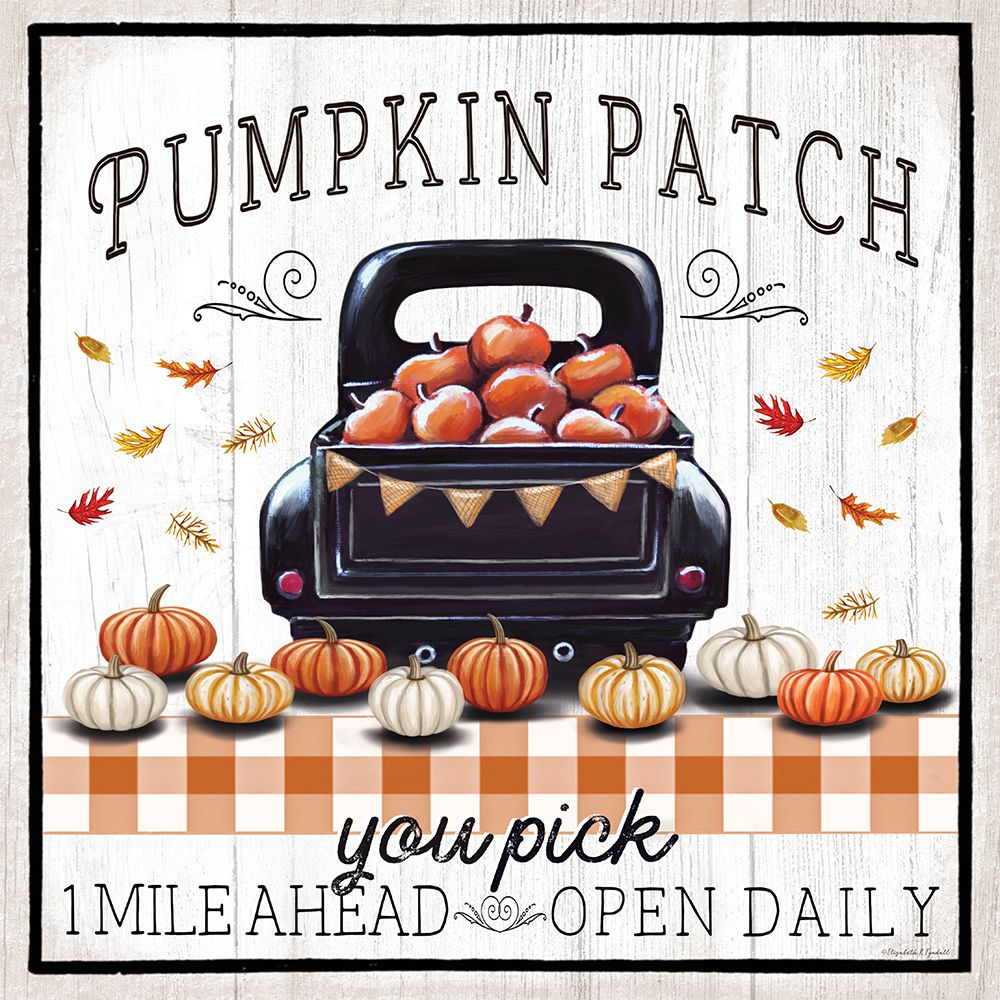 Pumpkin Patch