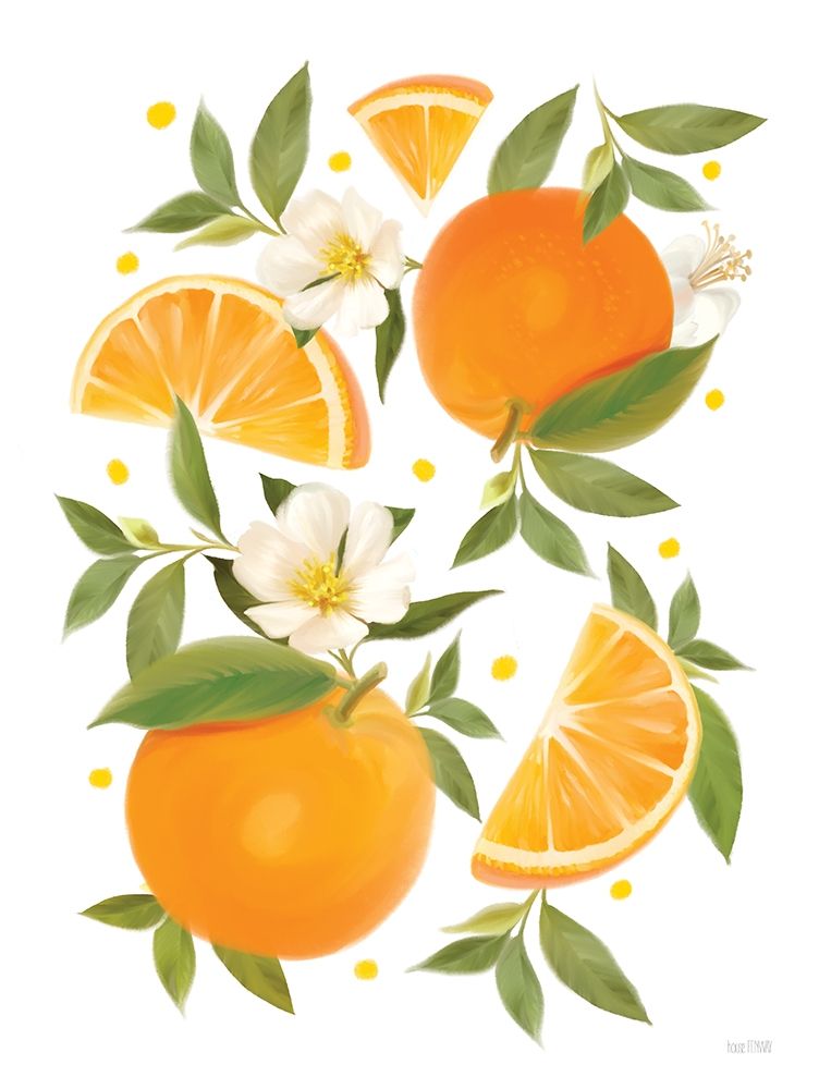 Citrus Orange Botanical