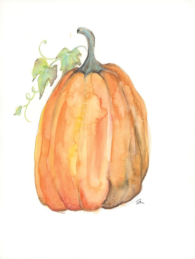Plump Pumpkin