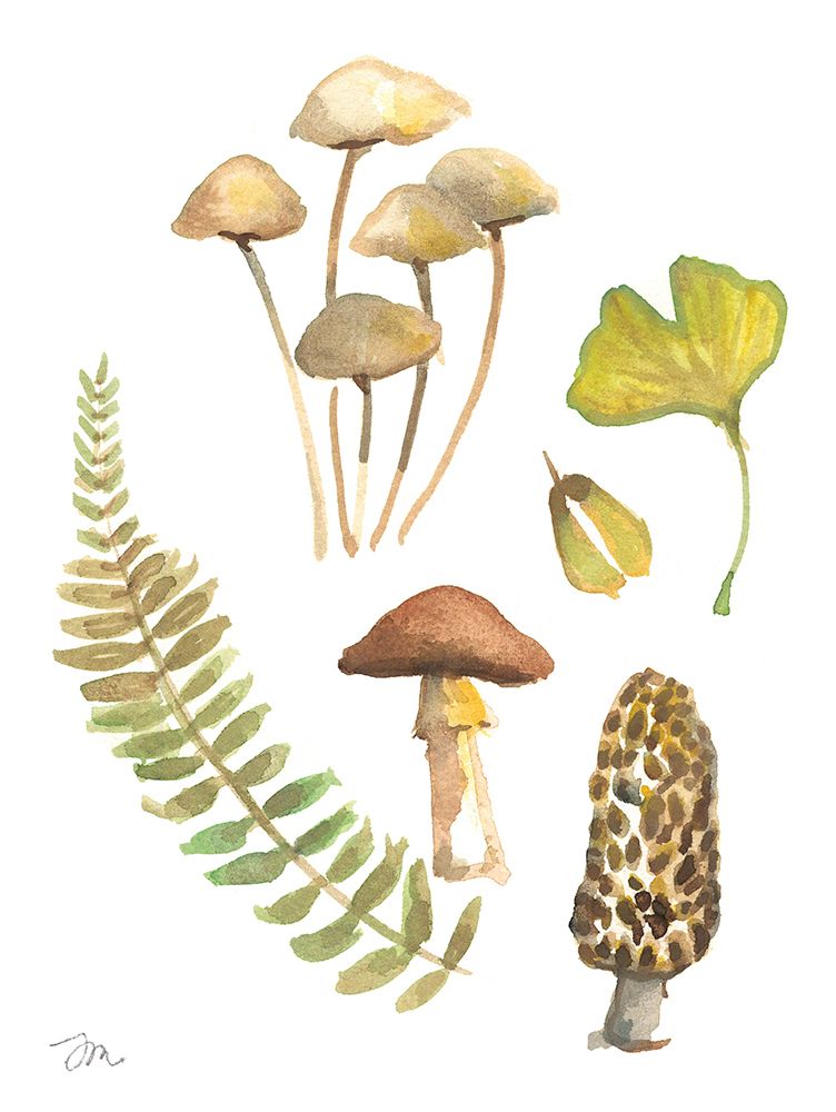 November Mushrooms