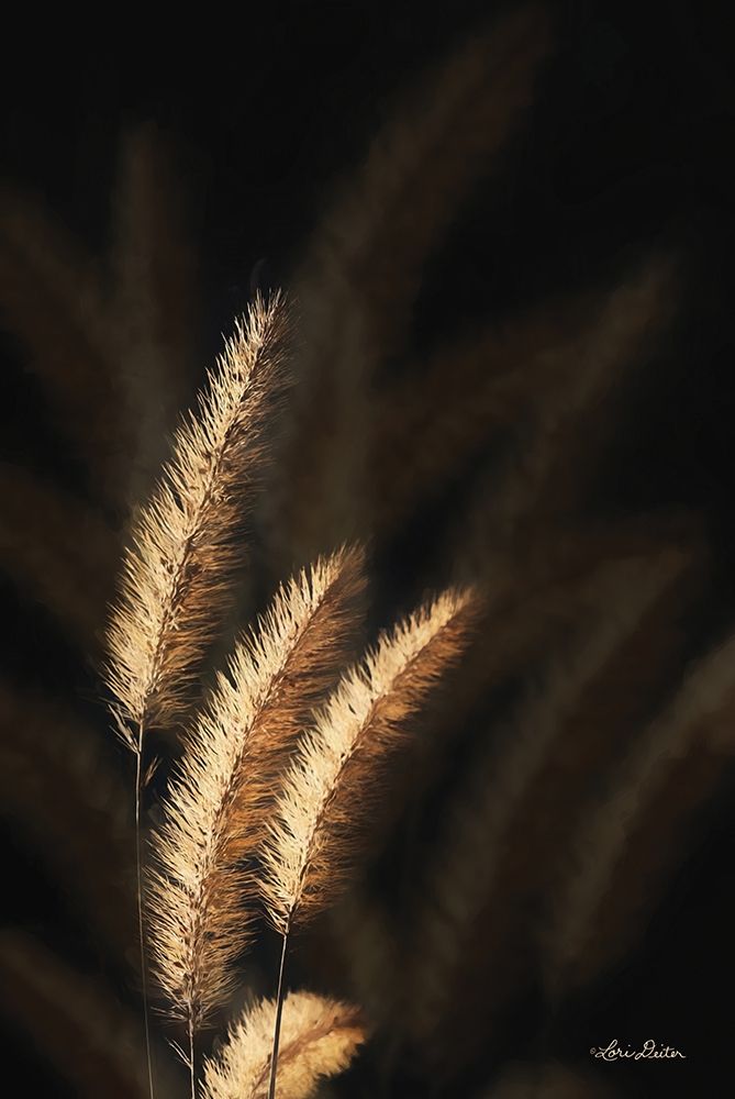 Golden Grass III
