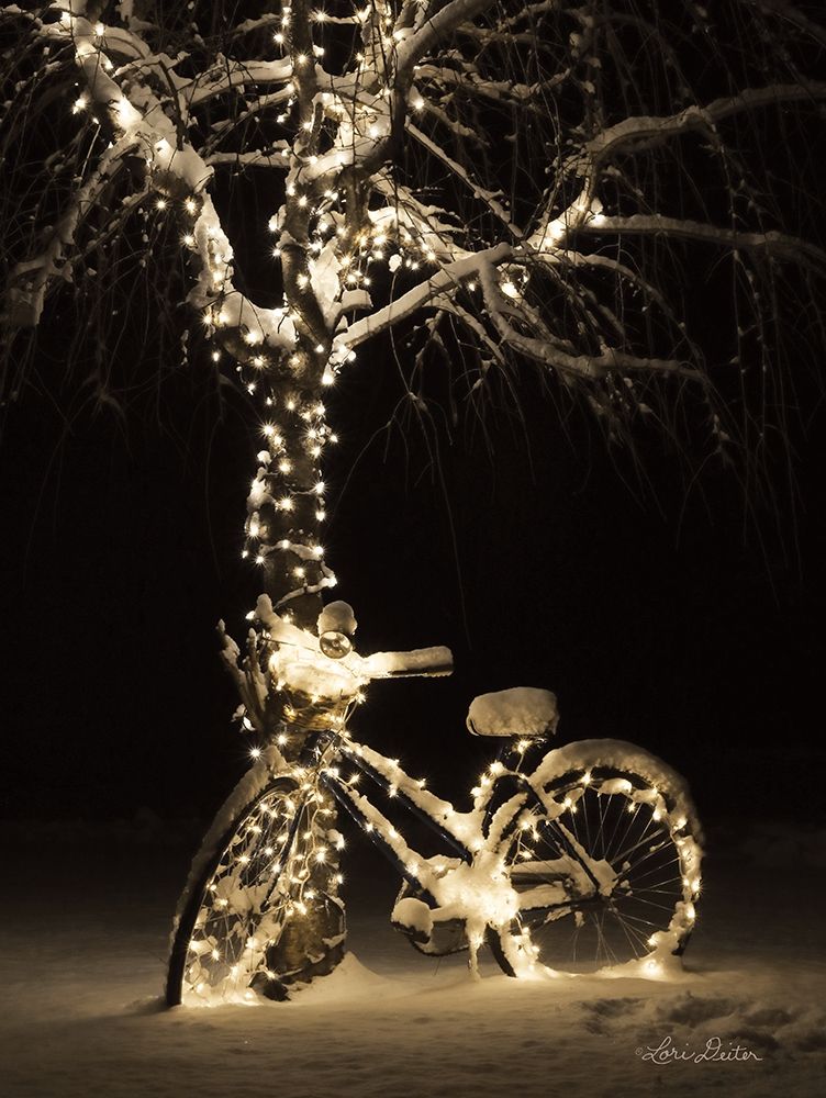 Snowy Bicycle