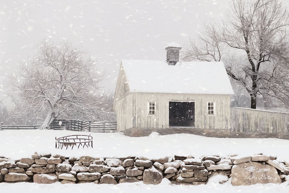 Virginia Snow Storm