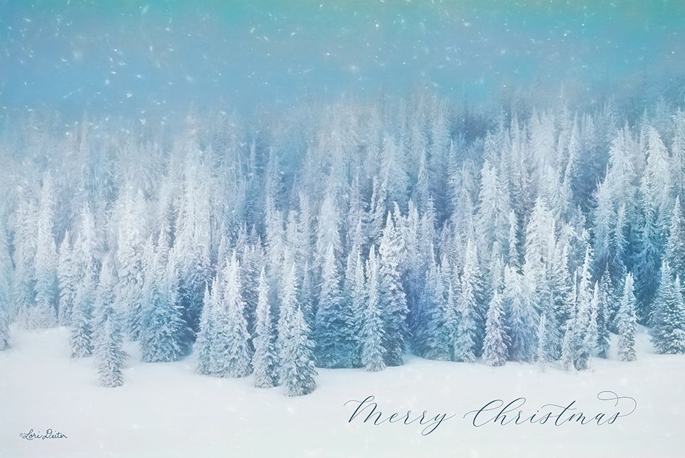 Snowy Turquoise Forest