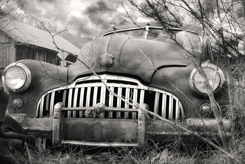 Rustic Charm VII