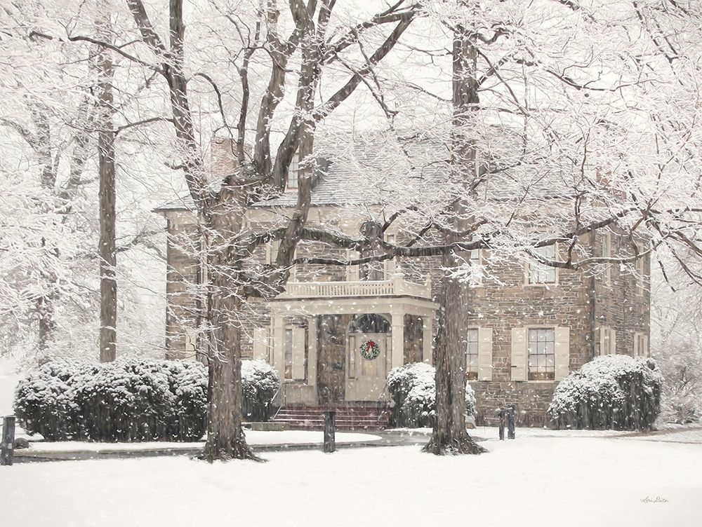 Winter Home at Christmas